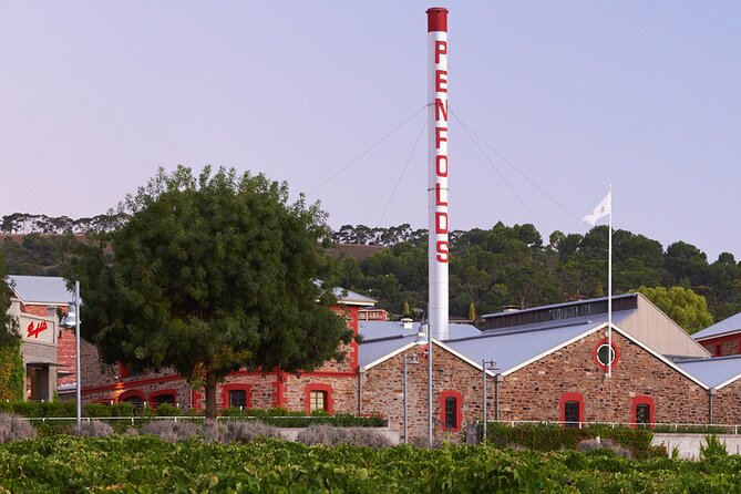 Ultimate Penfolds Magill Estate Experience - Customer Reviews and Feedback