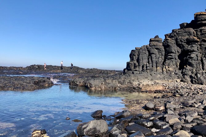 Ultimate Peninsula Adventure: Stand Up Paddle, Hot Springs, Hike, Lunch & Winery - Ratings and Reviews