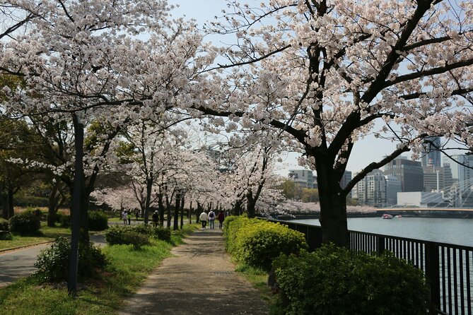 Ultimate Private Osaka Walking Experience - Walk With a Local - Reviews and Experience