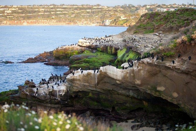 Ultimate Private San Diego Sightseeing Tour - Discovering Balboa Park