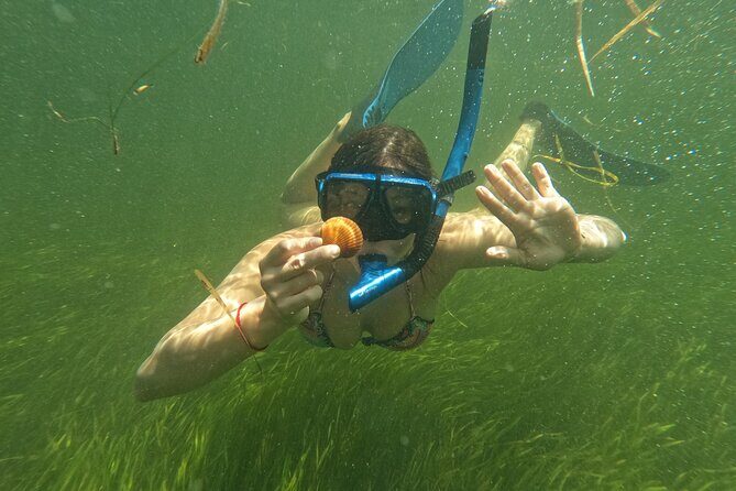 Ultimate Private Scalloping Adventure in Crystal River - FAQs