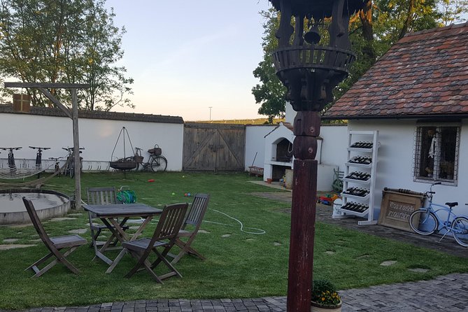 Ultimate Private Wine Tasting Experience From Prague to Moravia (3 Days) - Driver and Guide Services