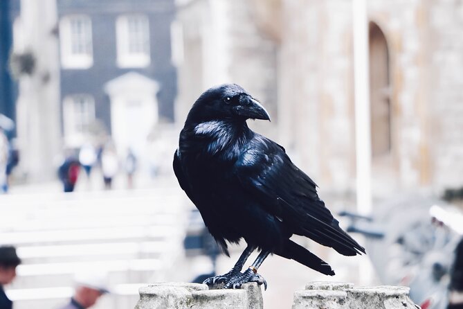 Ultimate Royal London: Tower of London & City of Westminster Tour - Exploring the Tower of London
