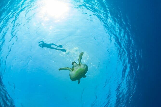Ultimate Samui Experience: Tour of Cultural and Natural Wonders - Final Thoughts