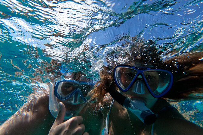 Ultimate SeaXscape! Pigs, Turtles, Snorkel, Lunch, Pickup/Dropoff - Snorkeling Through Coral Reefs