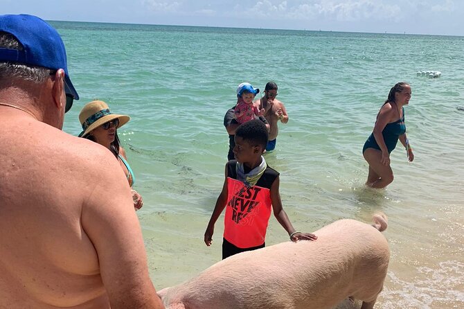 Ultimate SeaXscape! Pigs, Turtles, Snorkel, Lunch, Pickup/Dropoff - Conch Show and Tasting