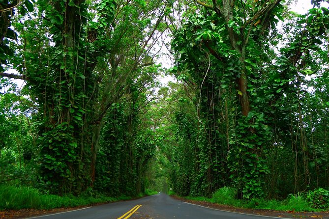 Ultimate Self-Guided Audio Driving Tour of Kauai (Na Pali, Waimea), Hawaii - Marveling at Waimea Canyon