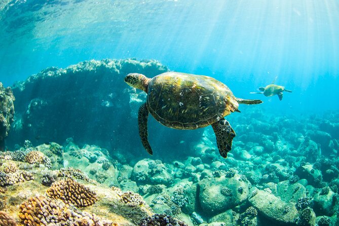 Ultimate South Island Zodiac Boat Snorkel Adventure in Kauai - Scenic Koloa Plantation Departure