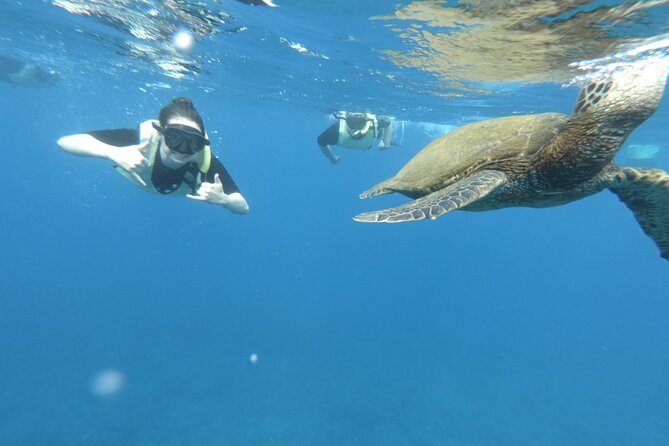 Ultimate South Island Zodiac Boat Snorkel Adventure in Kauai - Dietary Preferences and Snacks