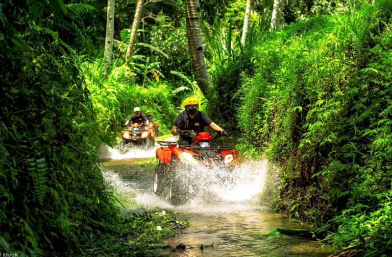 Ultimate Ubud ATV Quad Bike and Rafting Expedition - Customer Ratings and Feedback