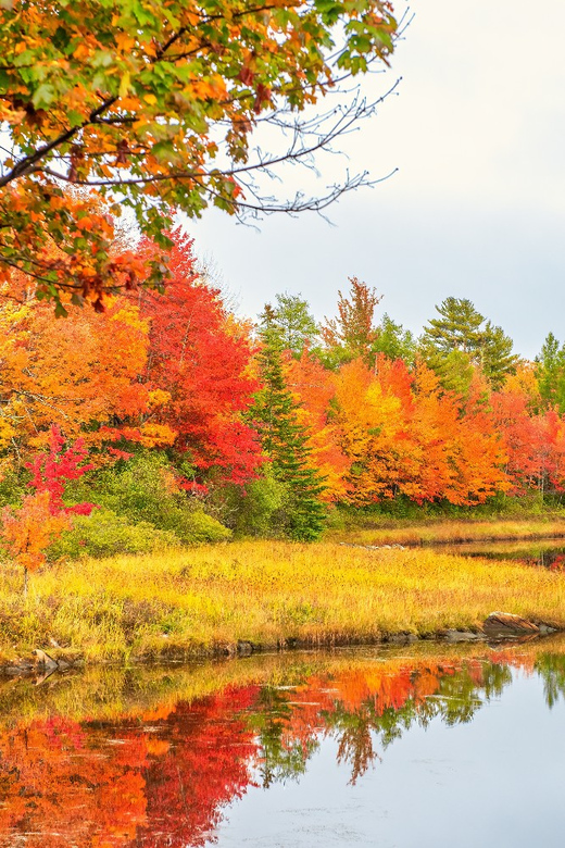Ultimate US East Coast: Bundle of 25+Self-Guided Audio Tours - Pricing and Flexibility