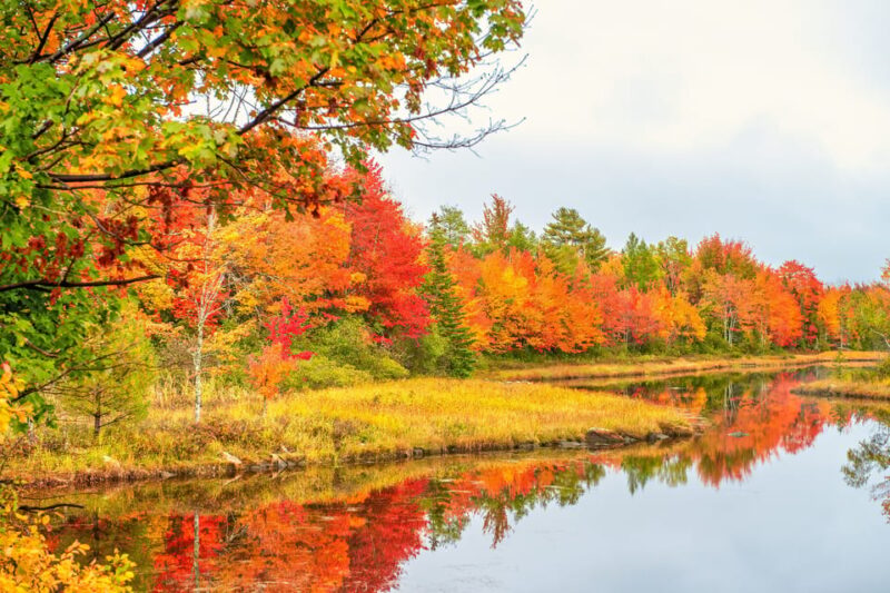 Ultimate US East Coast: Bundle of 25+Self-Guided Audio Tours - User Experience