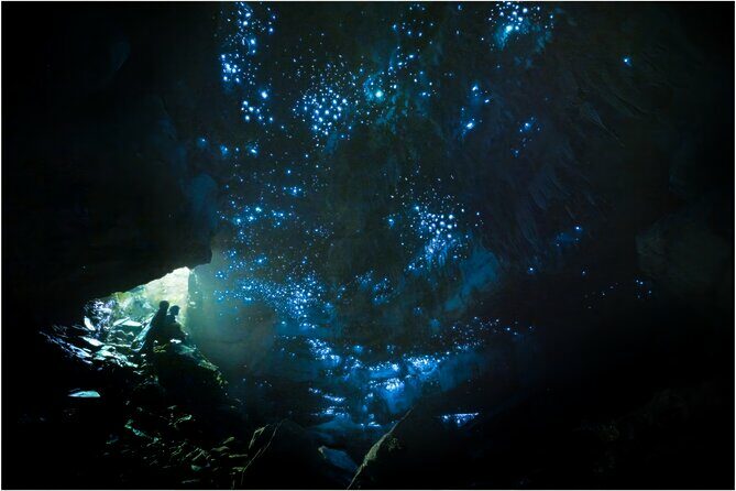 Ultimate Waitomo Glowworm Tour Private, Tailored, After Dark - Key Points