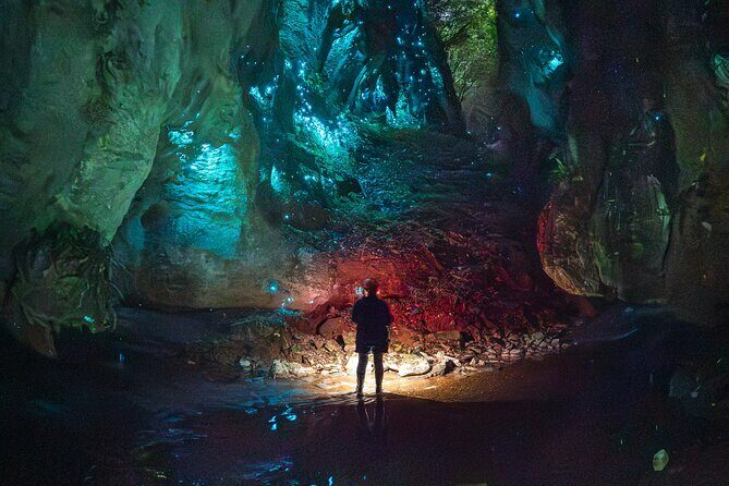 Ultimate Waitomo Glowworm Tour Private, Tailored, After Dark - An In-Depth Look at the Ultimate Waitomo Glowworm Tour