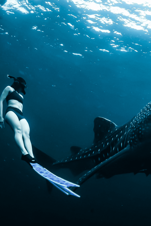 Ultimate Whale Shark Adventure in Cancun - Included Amenities