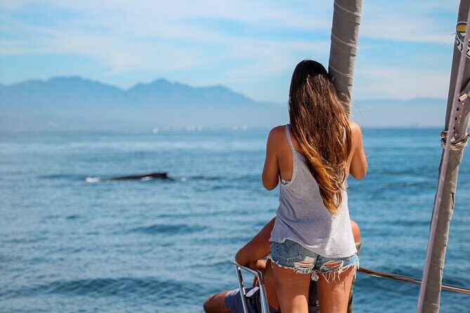 Ultimate Whale Watching Experience All-Inclusive - The Itinerary in Detail