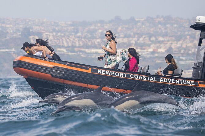 Ultimate Whale Watching Tour aboard the SuperRib: 24 People Max - What You Can Expect from the Tour