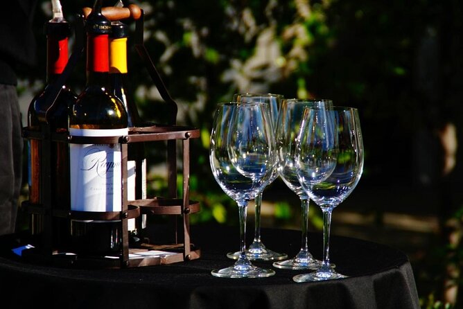 Ultimate Wine Experience With Personal Driver and Photographer - Key Points