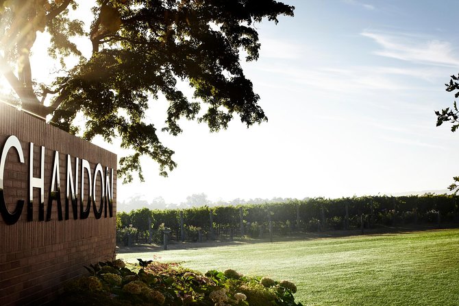 Ultimate Yarra Valley Chandon, Soumah & De Bortoli Cheese & Wine - Knowledgeable Guide and Local Vintners