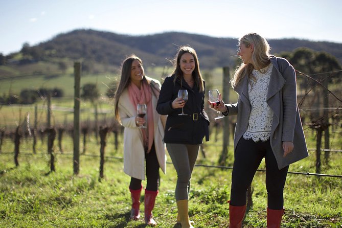 Ultimate Yarra Valley Chandon, Soumah & De Bortoli Cheese & Wine - Reviews and Logistics
