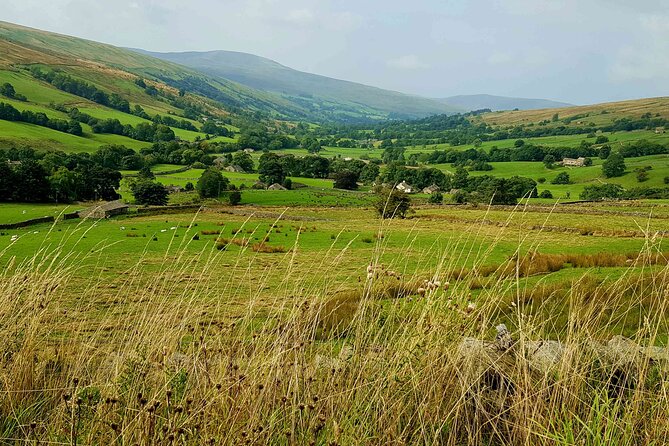 Ultimate Yorkshire Dales Tour - Magnificent Views - Photo Stops - Expert Guide - Weather and Attire