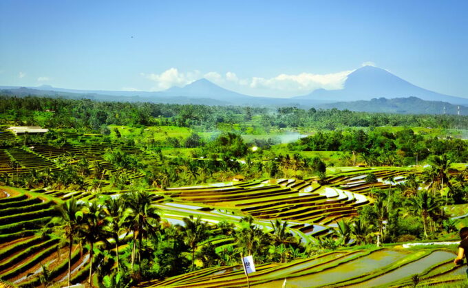 Ulun Danu Beratan, Jatiluwih, & Tanah Lot Private Tour - Exploring Jatiluwih Rice Terrace