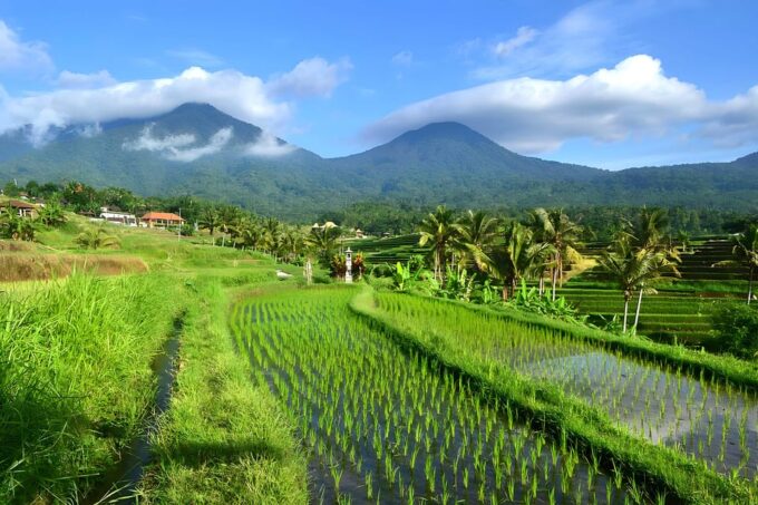Ulun Danu Beratan, Jatiluwih, & Tanah Lot Private Tour - Frequently Asked Questions