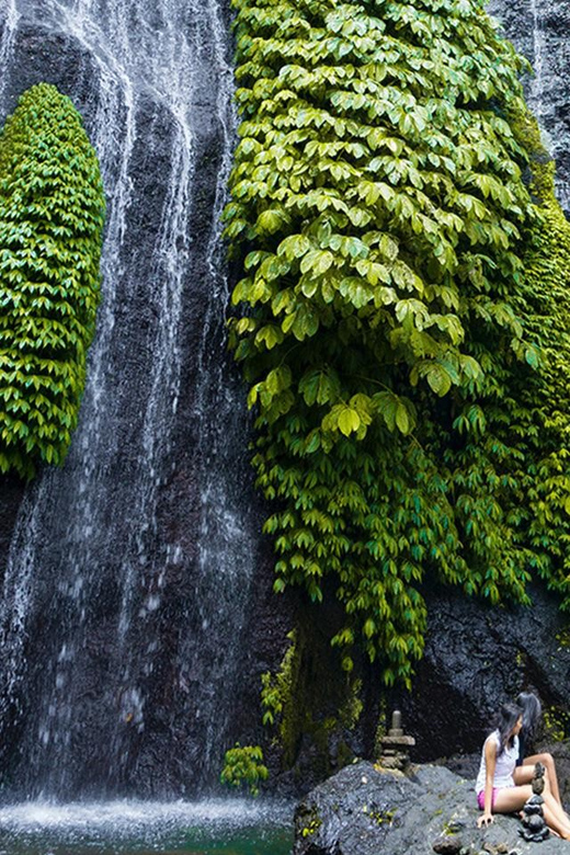 Ulun Danu Bratan Temple : Banyumala Waterfalls /Private Trip - Experience and Activities