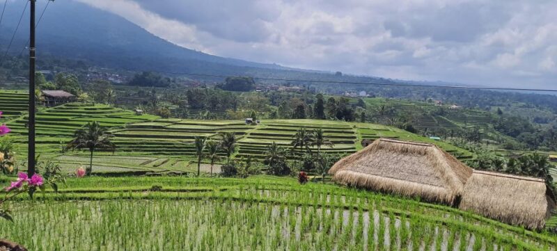 Ulundanu Beratan Temple, Jatiluwih Rice Terrace & Tanah Lot - Transportation and Comfort