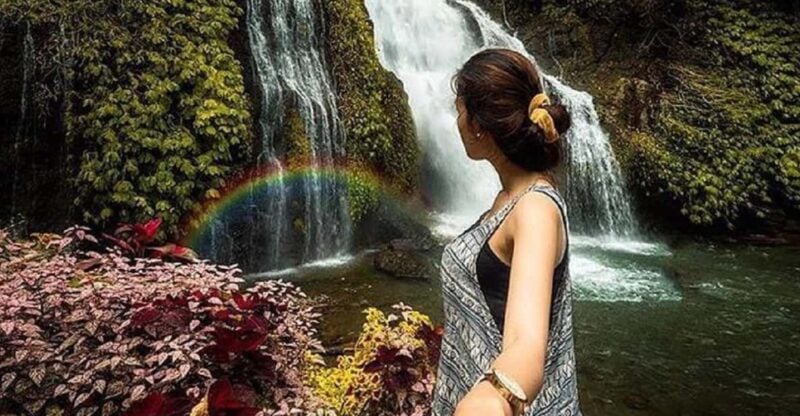 Ulundanu, Handara Gate, Jatiluwih & Banyumala Waterfall Tour - Itinerary Highlights