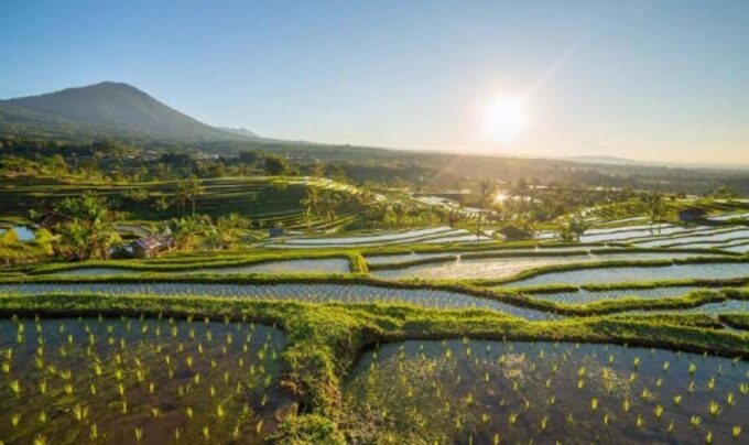 Ulundanu Temple,Jatiluwih & Tanah Lot Sunset-All Inclusive - Cancellation Policy and Refunds