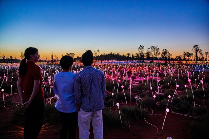 Uluru (Ayers Rock) Field of Light Sunrise Tour - Inclusions and Duration