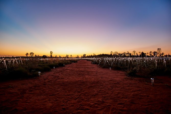 Uluru (Ayers Rock) Field of Light Sunrise Tour - Tour Highlights and Expectations