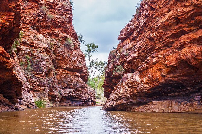 Uluru (Ayers Rock) to Alice Springs One-Way Shuttle - Journey Route and Scenic Attractions