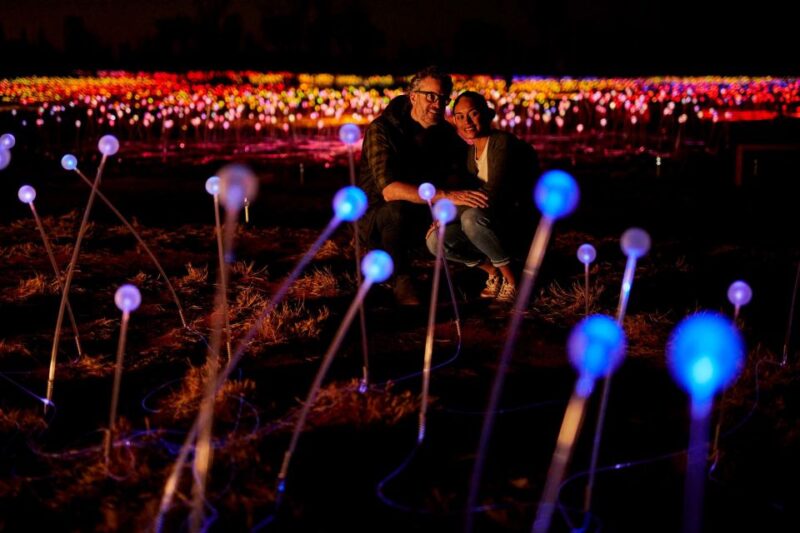 Uluru: Field of Light Sunrise Tour With Hot Drinks - Experience Highlights