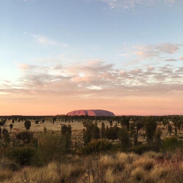 Uluru: Field of Light Sunrise Tour With Hot Drinks - Customer Reviews and Ratings