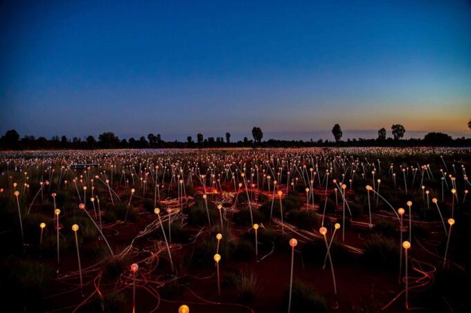 Uluru: Field of Light Sunrise Tour With Hot Drinks - What to Expect