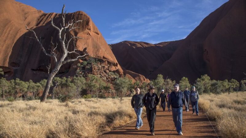 Uluru Highlights Small Group Morning Tour + Picnic Breakfast - Included Amenities