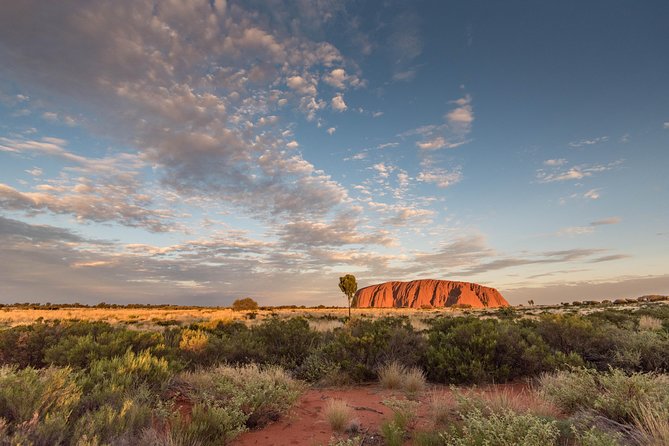 Uluru, Kata Tjuta and Kings Canyon Camping Safari From Alice Springs - Accommodations and Amenities