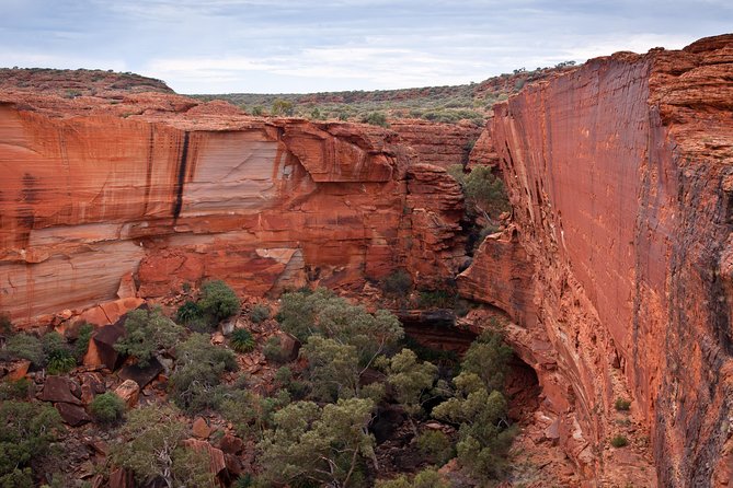 Uluru, Kata Tjuta and Kings Canyon Camping Safari From Alice Springs - Group Dynamics and Experiences