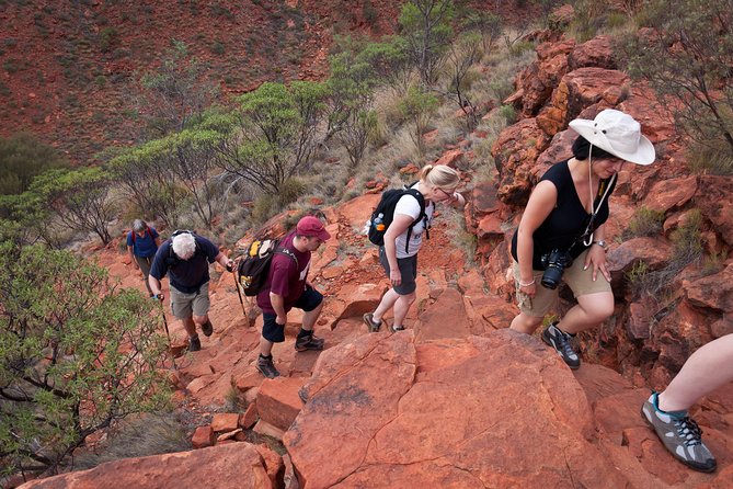 Uluru, Kata Tjuta and Kings Canyon Camping Safari From Alice Springs - Recommendations and Considerations