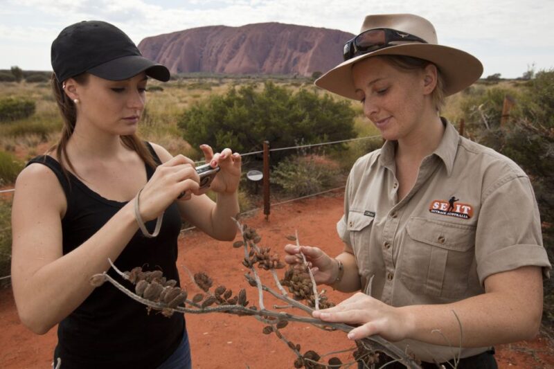 Uluru: Small Group Guided Tour With Sunset Refreshments - Key Points