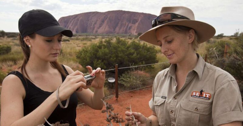 Uluru: Small Group Guided Tour With Sunset Refreshments - Inclusions