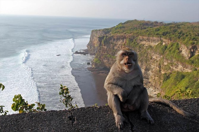 Uluwatu Temple Sunset and Kecak Fire Dance - Private Tour - Additional Information