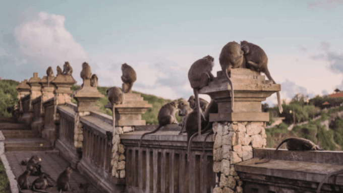 Uluwatu Temple Sunset Tour & Romantic Dinner at Jimbaran Bay - Dinner at Jimbaran Bay