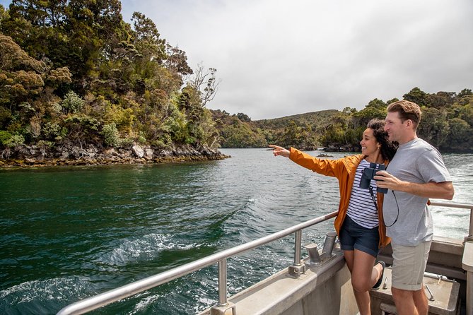 Ulva Island Explorer From Stewart Island - Customer Feedback and Recommendations
