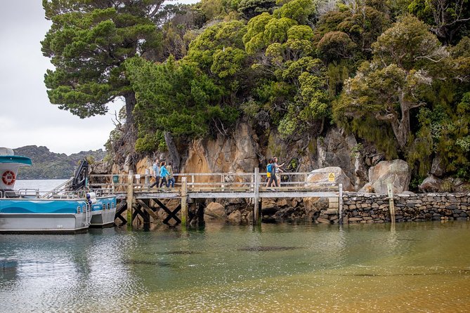 Ulva Island Explorer From Stewart Island - Wildlife Viewing Opportunities