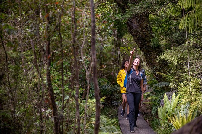 Ulva Island Explorer From Stewart Island - Preparation and Packing Tips