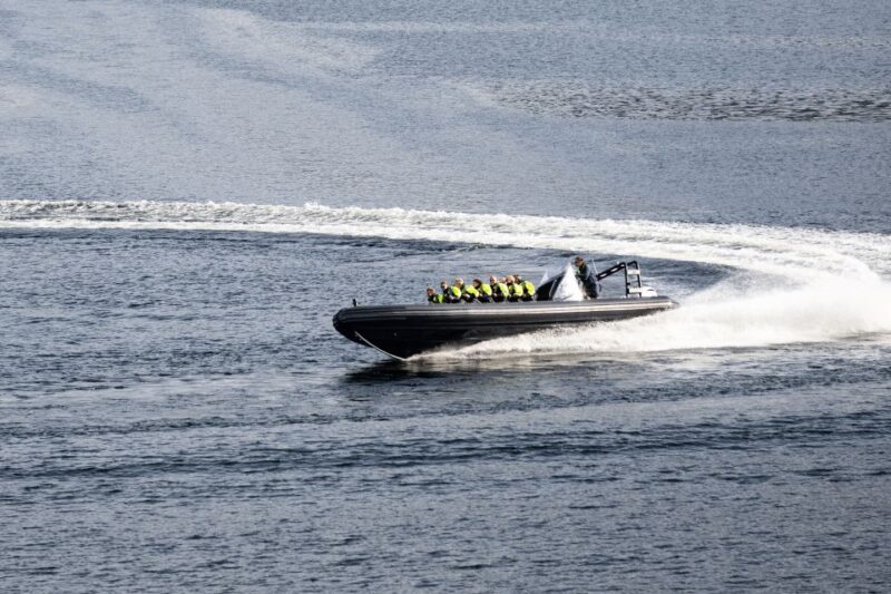 Ulvik Fjord Cruise: Scenic RIB Adventure to Osafjord - Experience Highlights