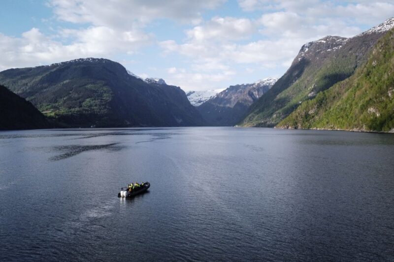 Ulvik Fjord Cruise: Scenic RIB Adventure to Osafjord - Meeting Details